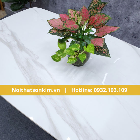 Bàn ghế ăn gia đình BGD11